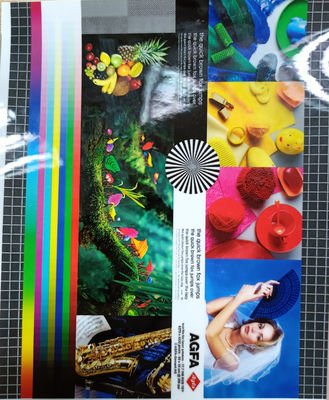 좋은 가격 길이 200-4000m PET EVA 포장 필름 22 miu 뛰어난 포장 성능을위한 매트 / 반짝이는 밝기 온라인으로