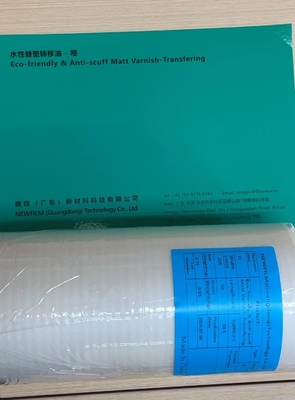 Good price 환경 친화적 인 전송 라크와 함께 환경 친화적 인 제거 플라스틱 보호 필름 온라인으로